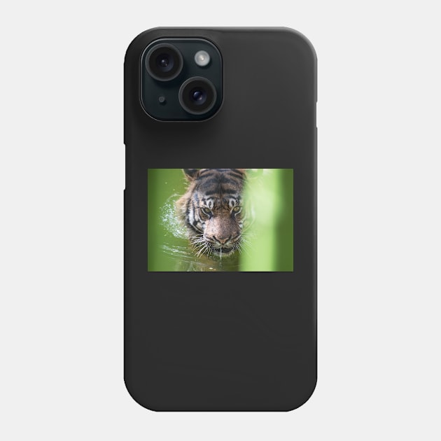 Tiger Eyes Phone Case by Jacquelie