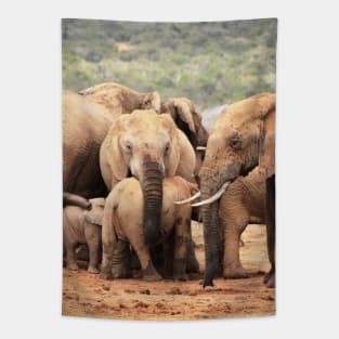 African Wildlife Photography Elephant Bodyguard Tapestry