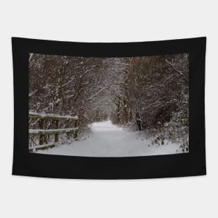 snow uk 2018 tree tunnel beast from the east Tapestry