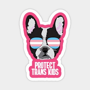 PROTECT TRANS KIDS - Boston Terrier Dog Trans Transgender Pride Flag Magnet