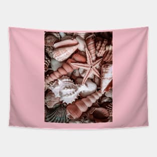 Summer Sea Shells Beach Travel Vacation Tapestry