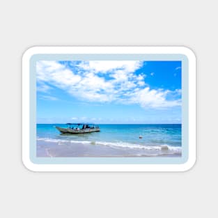 great ocean view Magnet