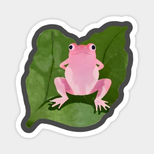 Pink frog in the middle of a green leaf Magnet