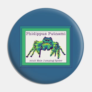 Phidippus Putnami - Jumping Spider Pin