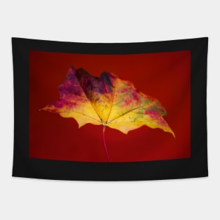 Autumn Maple Leaf Tapestry