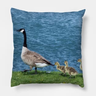 Canada Geese and Gosling Family Pillow