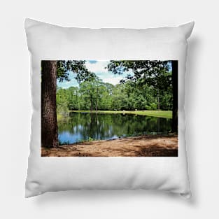 A Swimming Hole Pillow