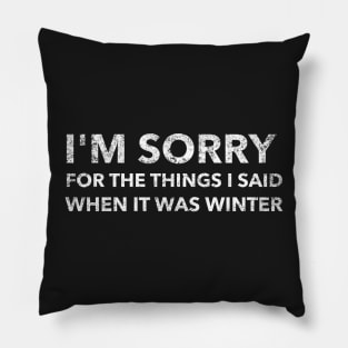 I'm sorry for the thing I said when it was winter Pillow