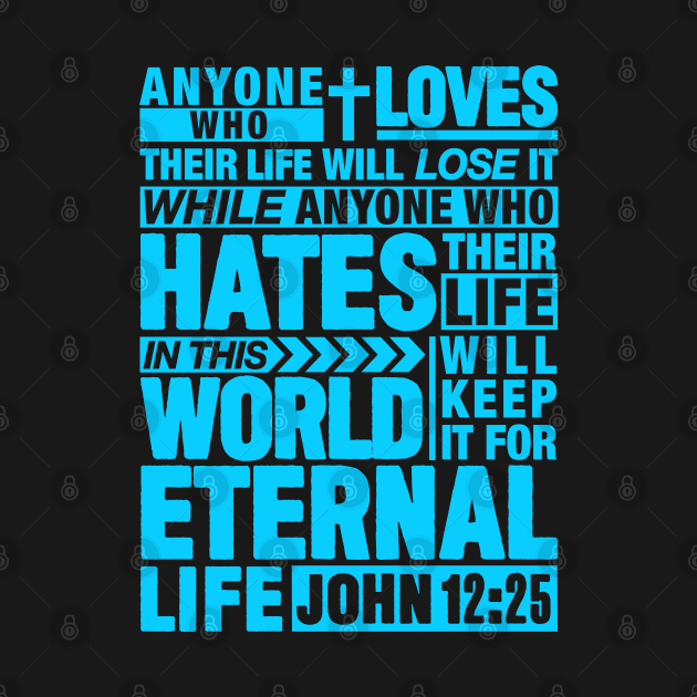 John 12:25 Eternal Life by Plushism