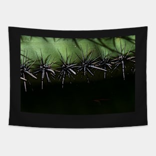 Prickly Pear Thorns Tapestry