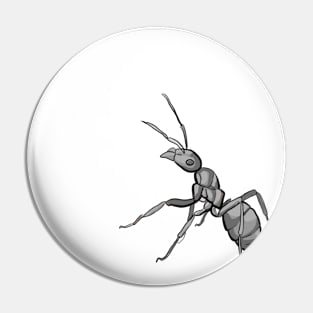 Carpenter Ant Pin