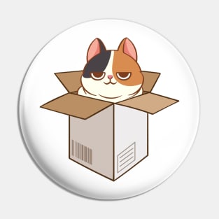 Calico cat in the box Pin