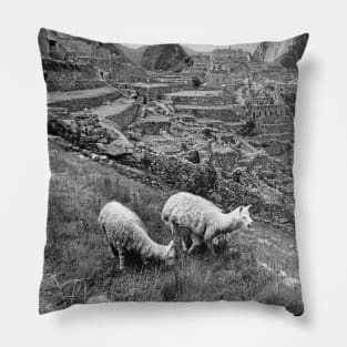 Vintage Llama at Machu Pichu Pillow