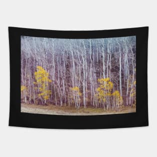 Aspens Late Autumn Tapestry