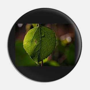 Green Leaf on a Bokeh Background Poster Pin