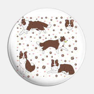 Adorable brown border collie dog illustration Pin