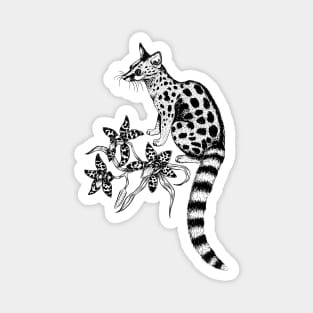 Genet with Orchids Magnet