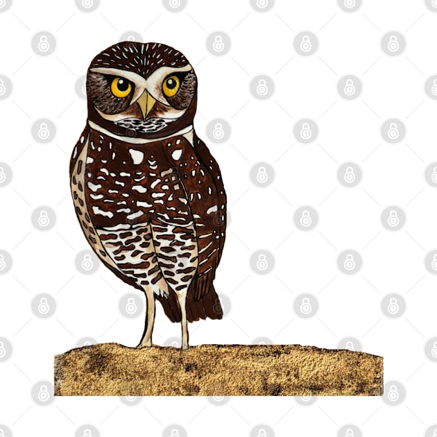 Burrowing Owl by Peleegirl