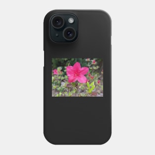 Pink Flower in Meadow 1 Phone Case