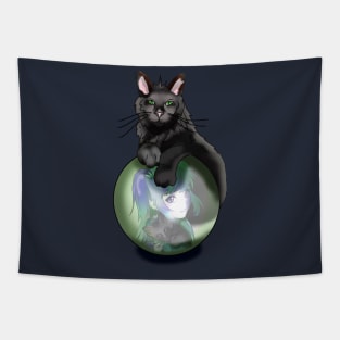 Black fluffy cat with a crystal ball Tapestry