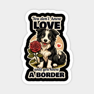 Border Collie Valentine's day Magnet