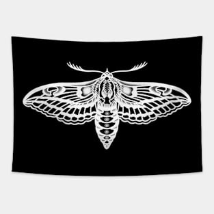 Spruce Sphinx Moth Inverted Tapestry