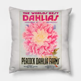 Peacock Dahlia Farms Catalogue Pillow