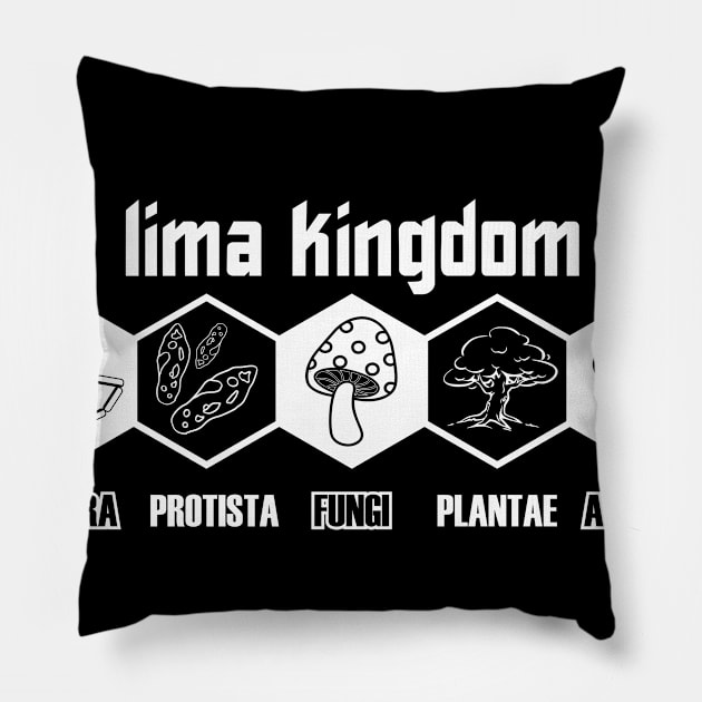 5 kingdom Pillow by hakim91