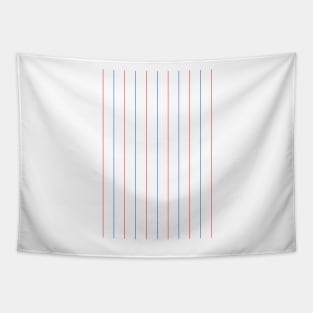 Brighton and Hove Albion Retro 1983 White, Blue and Red Pinstripes Away Tapestry