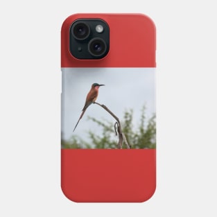 Southern Carmine Bee-Eater Phone Case