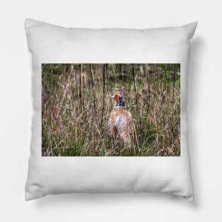 Pheasant in Long Grass Pillow