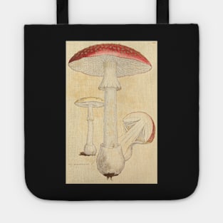 Amanita Mushroom, James Sowerby Tote