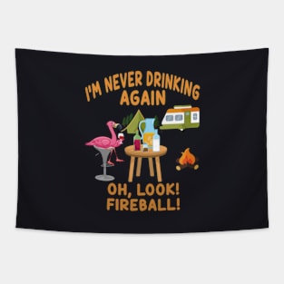 I M Never Drinking Again Oh Look Fireball Tapestry