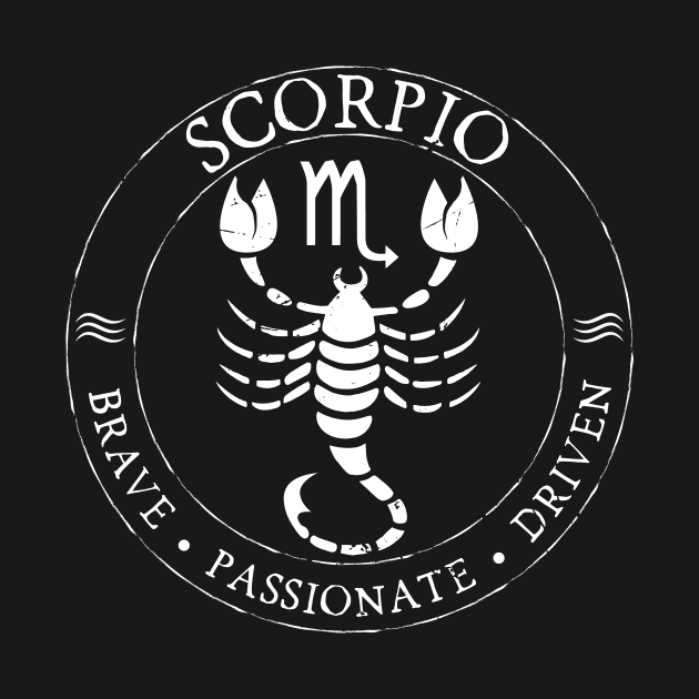 Scorpio Zodiac Birthday Star Sign Zodiac Gift by atomguy