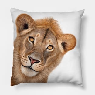 The Lion Pillow