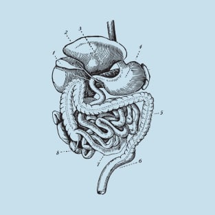 Organs anatomy T-Shirt