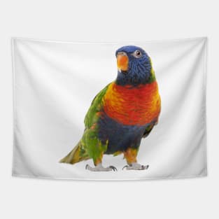 Cute Parrot Tapestry