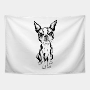 Boston Terrier Tapestry