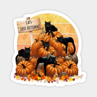 Black Cats in the Pumpkin Patch autumn with pumpkinsin and sunset, color autumn, cats love autumn Magnet