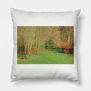 Picnic site Pillow