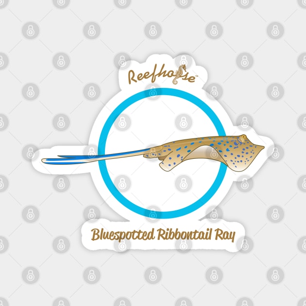 Bluespotted Ribbontail Ray Magnet by Reefhorse