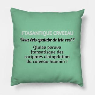 FTASANTIQUE CRVEEAU Pillow