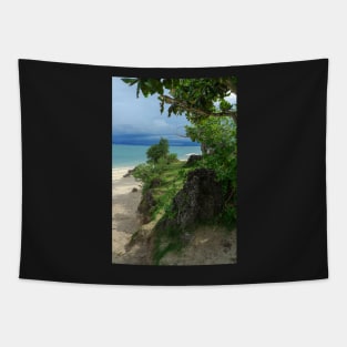 Apparel, home, tech and travel design Tapestry