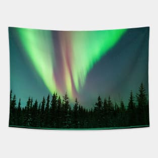 Electric Skies - Aurora Borealis Over a Black Spruce Forest in Alaska Tapestry