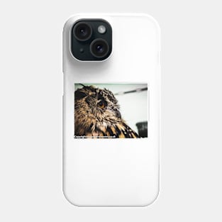 Tawny owl in colour 1 Phone Case