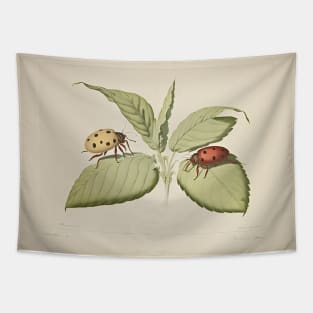 Ladybirds Vintage Tapestry