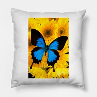 Blue Butterfly On Yellow Mums Pillow