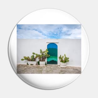 Blue door with cactus and white wall Pin