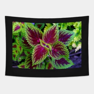 red and green leaves Tapestry