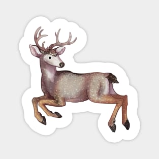 Cozy Mule Deer Magnet